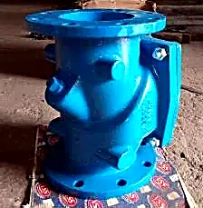 Check valve body