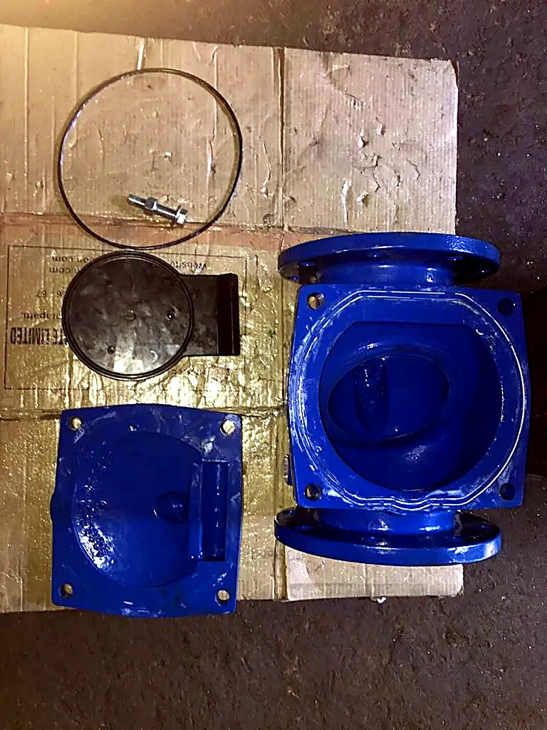 Complete Swing Check Valves (Rubber Flap)