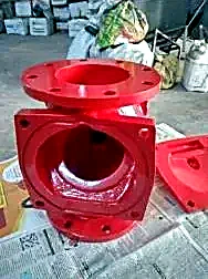 Check valve with rubber flap